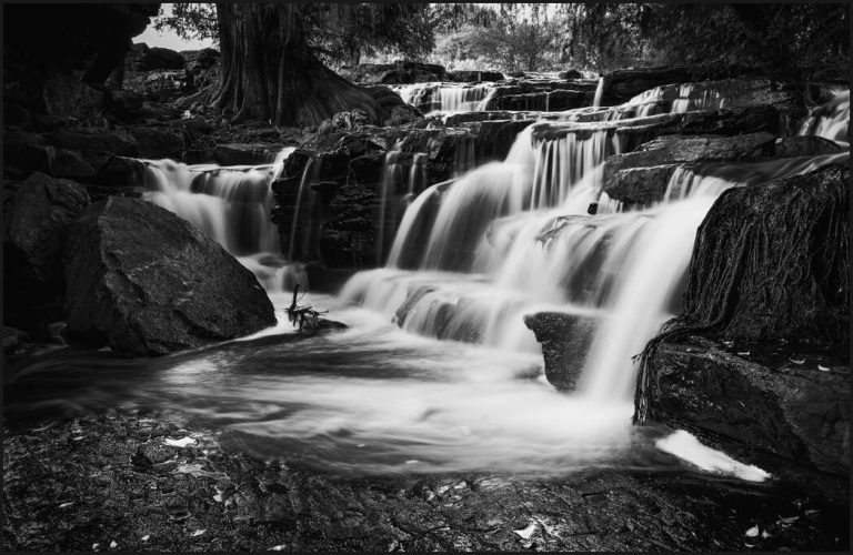 Black and White Photoshop or Lightroom? Best way to edit B&W!