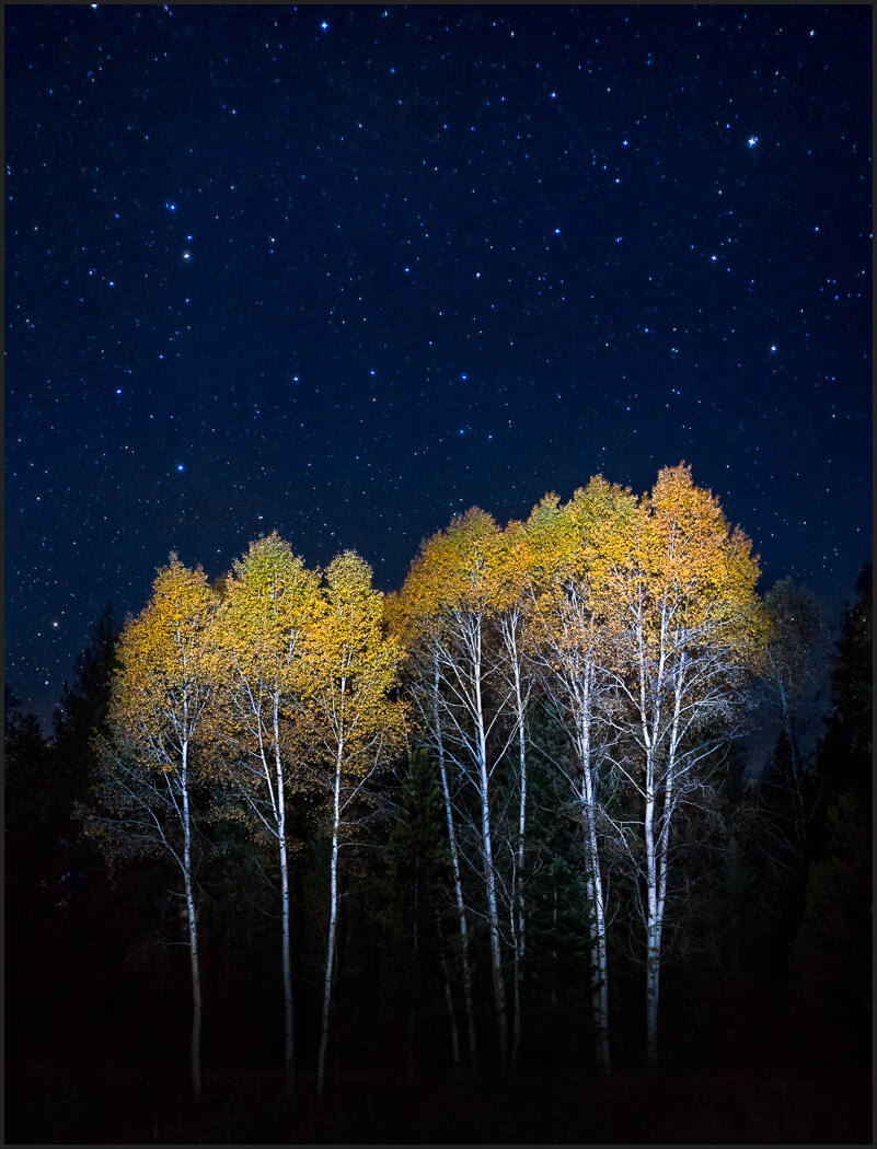 how to photograph stars - Aspen grove washington deep field star landscapes